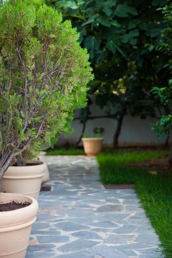 Villa Areti Dhorizata Ngoại thất bức ảnh